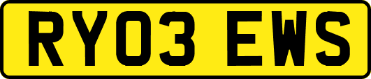 RY03EWS
