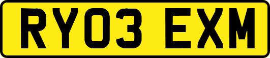 RY03EXM