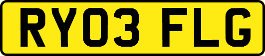 RY03FLG