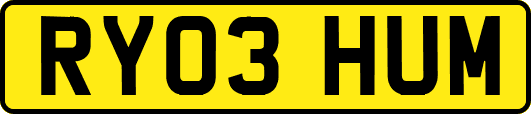 RY03HUM