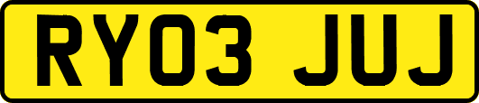 RY03JUJ