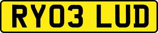 RY03LUD