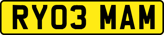 RY03MAM