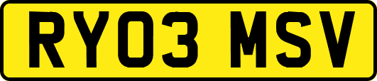RY03MSV