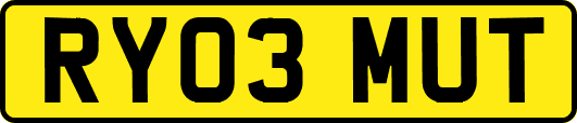 RY03MUT