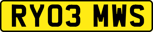 RY03MWS