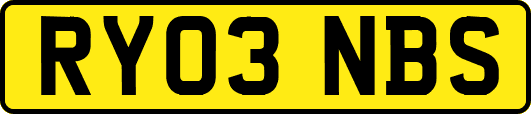 RY03NBS
