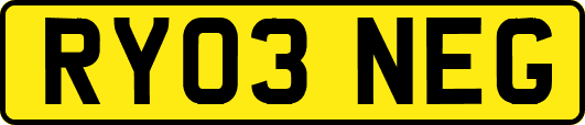 RY03NEG