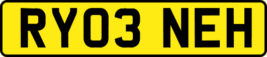 RY03NEH
