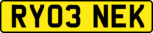 RY03NEK
