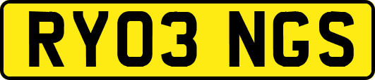 RY03NGS