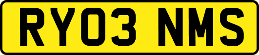 RY03NMS