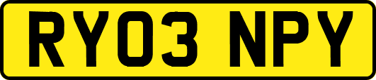 RY03NPY
