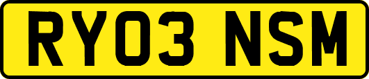 RY03NSM