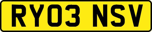 RY03NSV