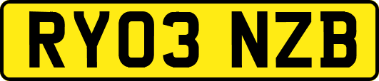 RY03NZB