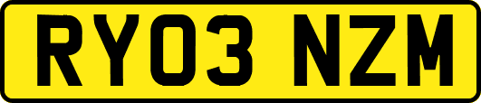 RY03NZM