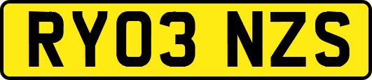 RY03NZS
