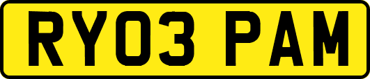 RY03PAM