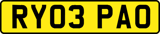 RY03PAO