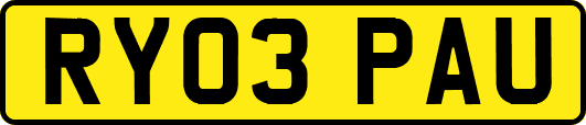 RY03PAU