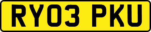 RY03PKU