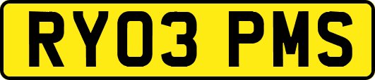 RY03PMS