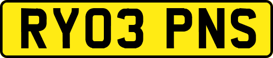 RY03PNS