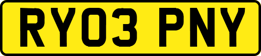 RY03PNY