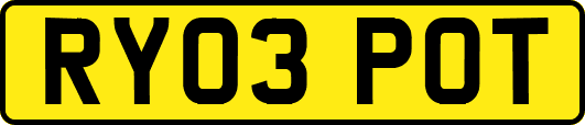 RY03POT