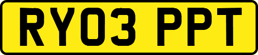 RY03PPT