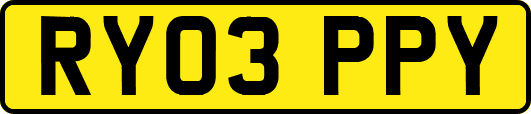 RY03PPY