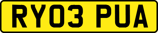 RY03PUA