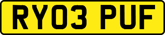 RY03PUF