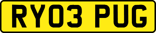RY03PUG
