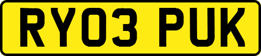 RY03PUK