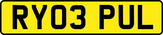 RY03PUL