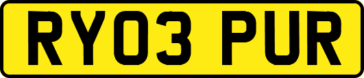 RY03PUR