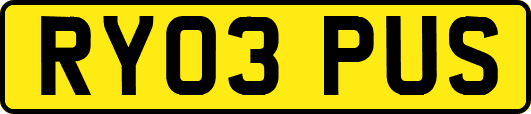 RY03PUS
