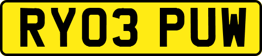 RY03PUW