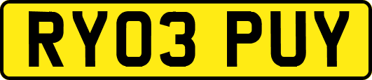 RY03PUY