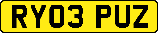 RY03PUZ