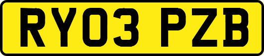 RY03PZB