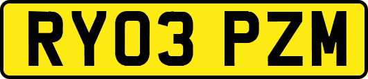 RY03PZM