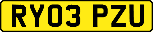 RY03PZU