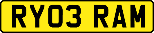 RY03RAM