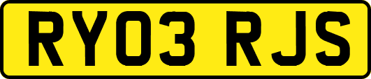 RY03RJS