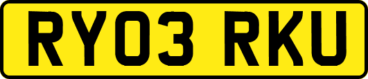 RY03RKU