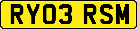 RY03RSM