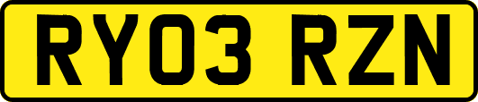 RY03RZN